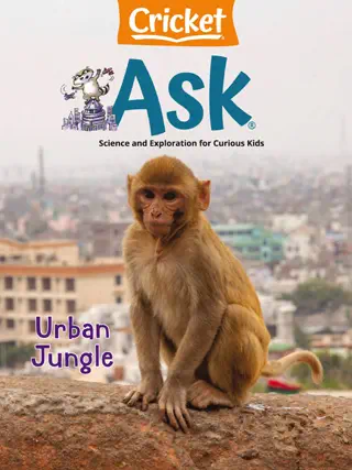 Ask - May / June 2024