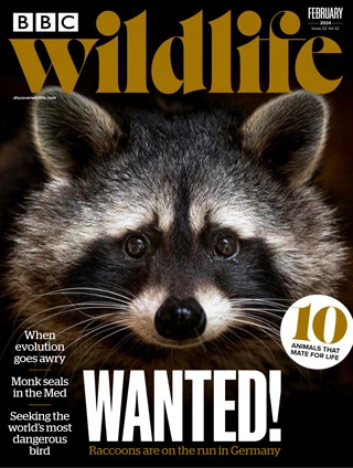 BBC Wildlife Magazine - February 2024