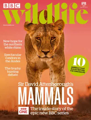 BBC Wildlife Magazine - April 2024