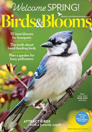 Birds & Blooms - February / March 2023