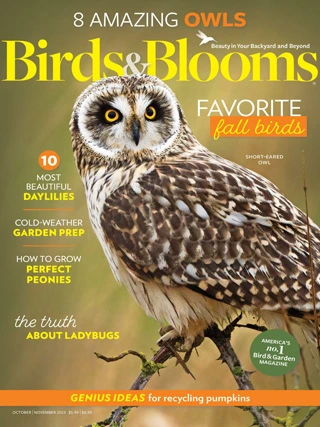 Birds & Blooms - October/November 2023