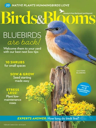 Birds & Blooms - February/March 2024