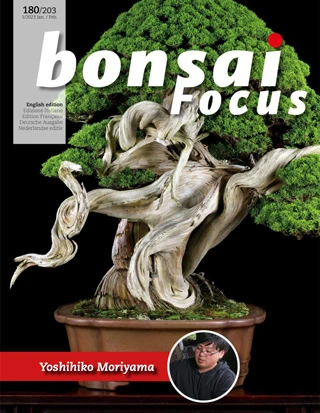 Bonsai Focus - January/February 2023