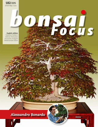 Bonsai Focus - May June 2023