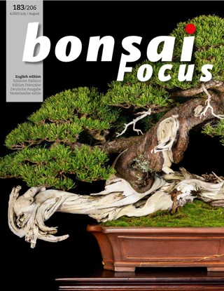 Bonsai Focus - July August 2023