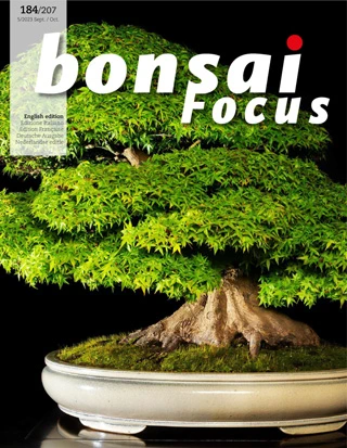 Bonsai Focus - September / October 2023