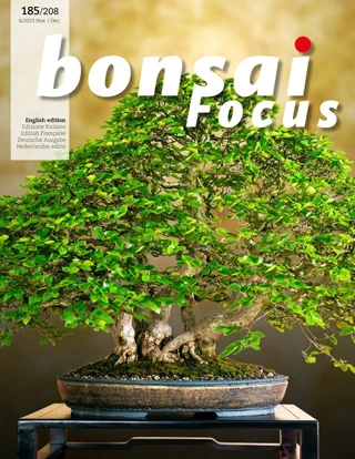 Bonsai Focus - November/December 2023