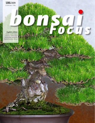 Bonsai Focus - January/February 2024