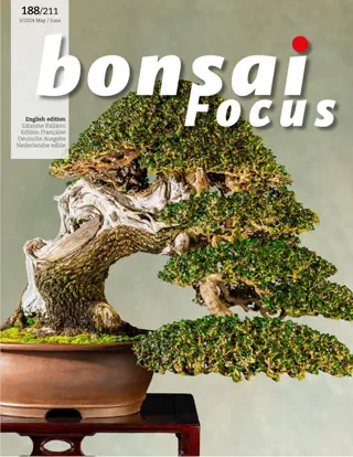 Bonsai Focus - May / June 2024