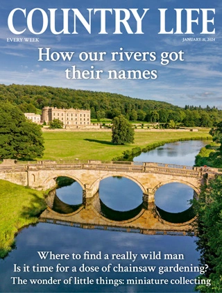 Country Life UK - January 31, 2024