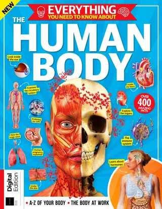 How it Works Everything You Need To Know About The Human Body - 2nd Edition 2024