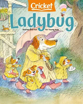 Ladybug - April 2024