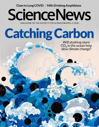Science News - April 6, 2024